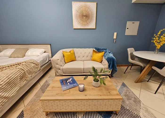 Furnished Studio In Dubai Marina